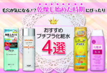 毛穴が気になる!?乾燥し始めた時期にぴったりのプチプラ化粧水をご紹介します!